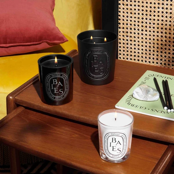 DIPTYQUE - BAIES Berries Large 600g Candle - Image 4